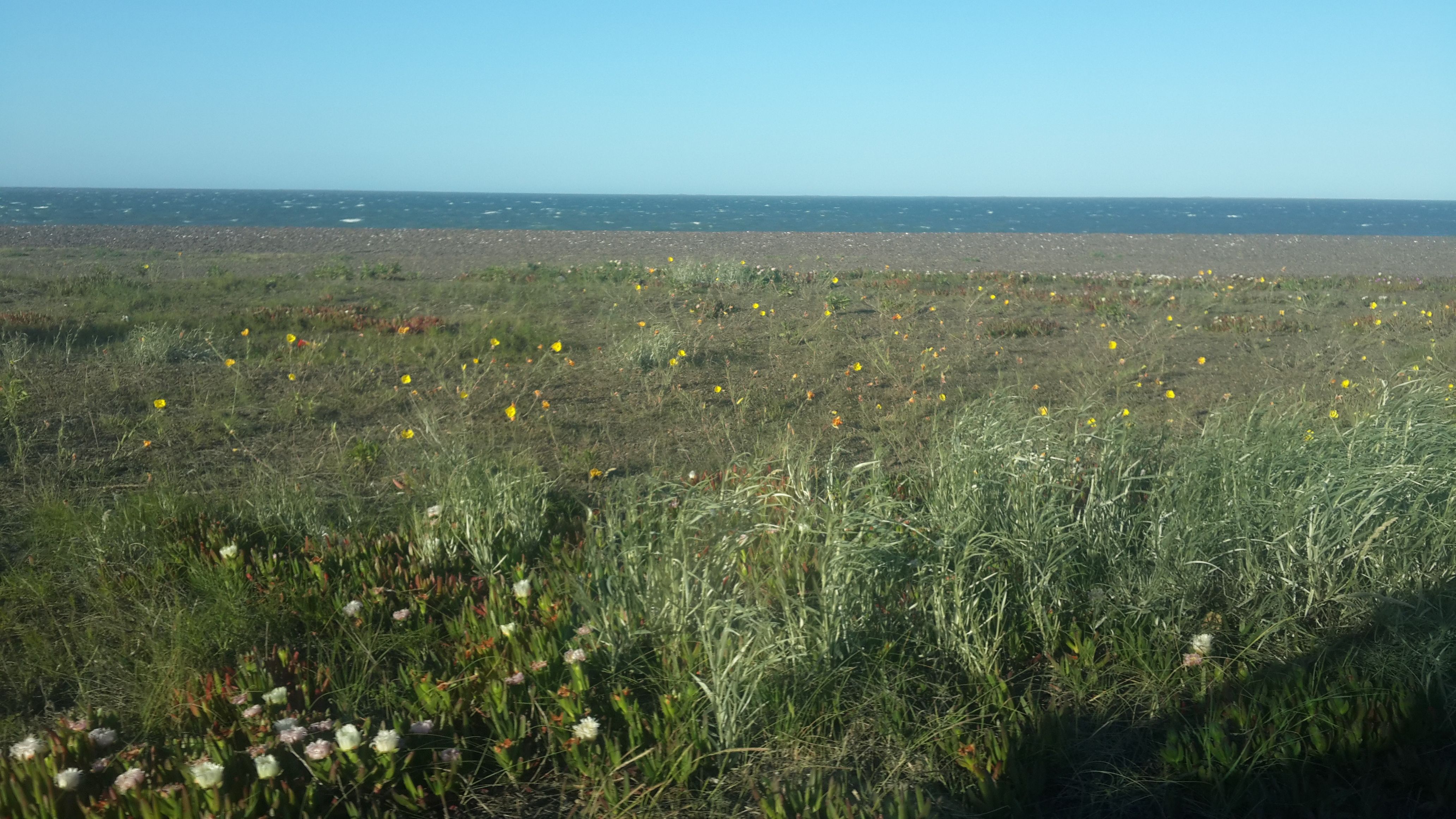 Vistas al prado