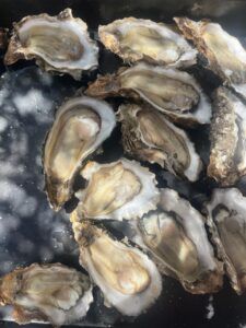 Comer Ostras de la Patagonia