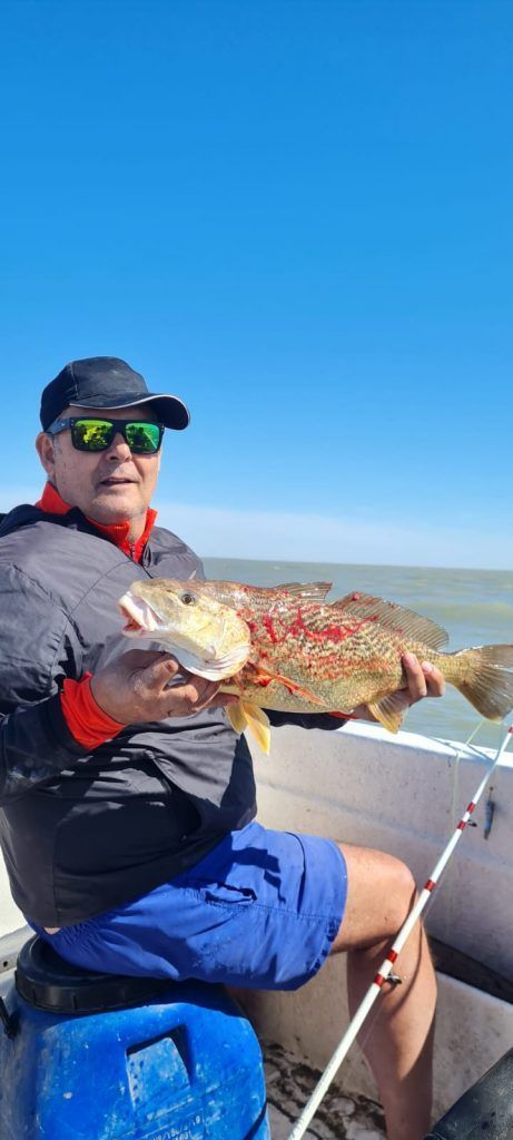 pesca embarcado de la corvina en Balneario Los Pocitos y Bahía San Blas