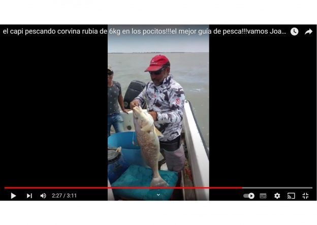 Corvina de 6 kg pescada en Balneario Los Pocitos por Joan