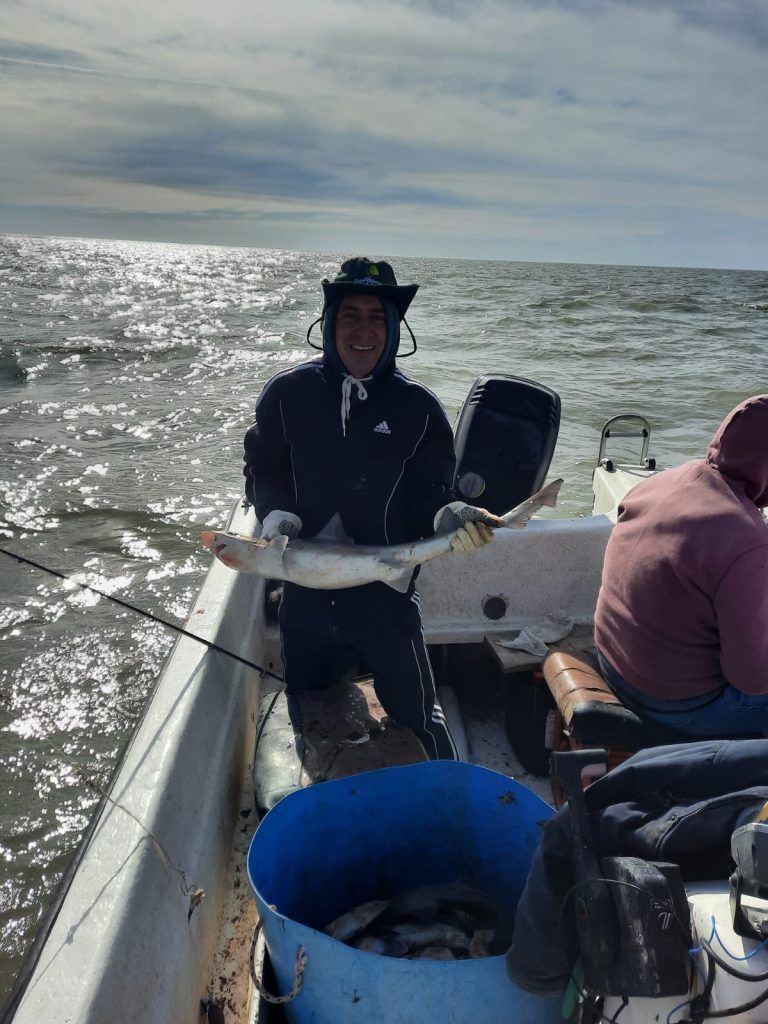Pesca gatuzo